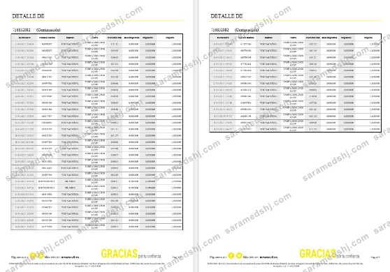 Spain Masmovil internet utility  bill Word and PDF formats, 6 pages.